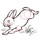 Draw a rabbit